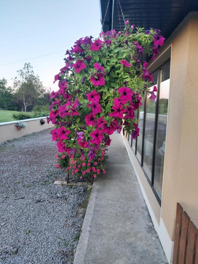 Ard Aoibhinn Roscommon Lecarrow Exteriör bild