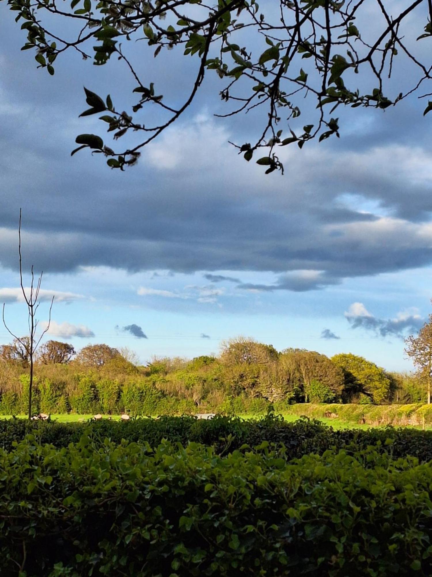 Ard Aoibhinn Roscommon Lecarrow Exteriör bild