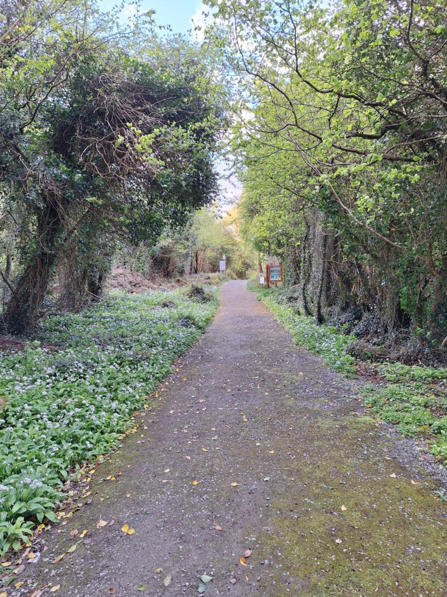 Ard Aoibhinn Roscommon Lecarrow Exteriör bild