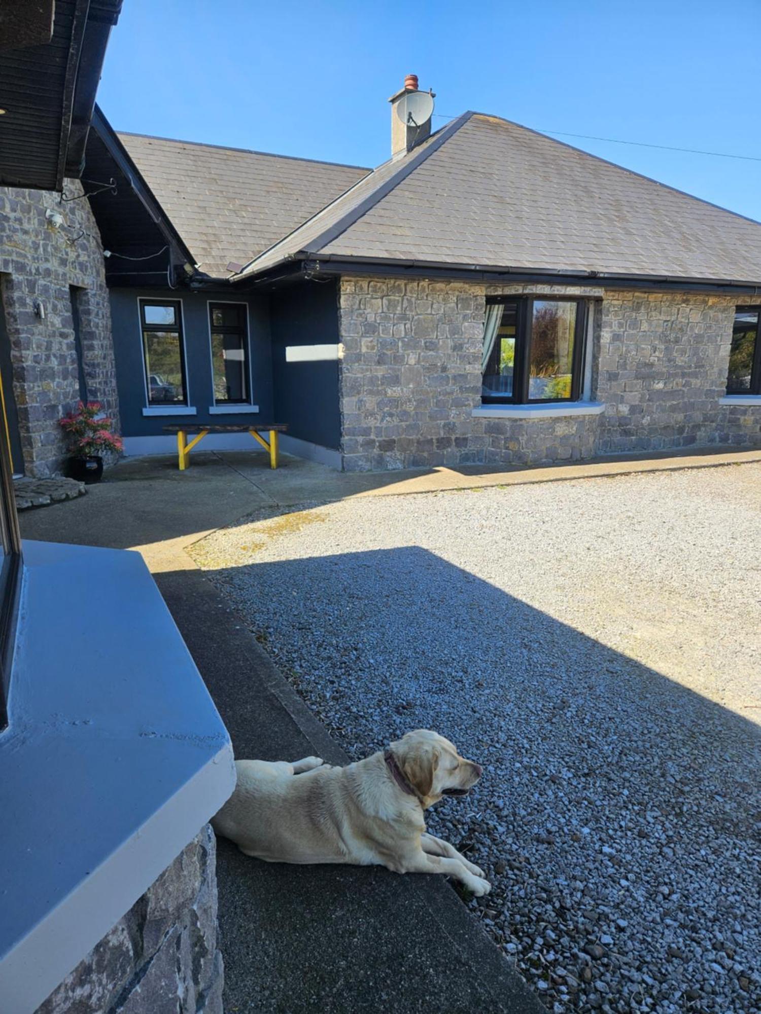 Ard Aoibhinn Roscommon Lecarrow Exteriör bild