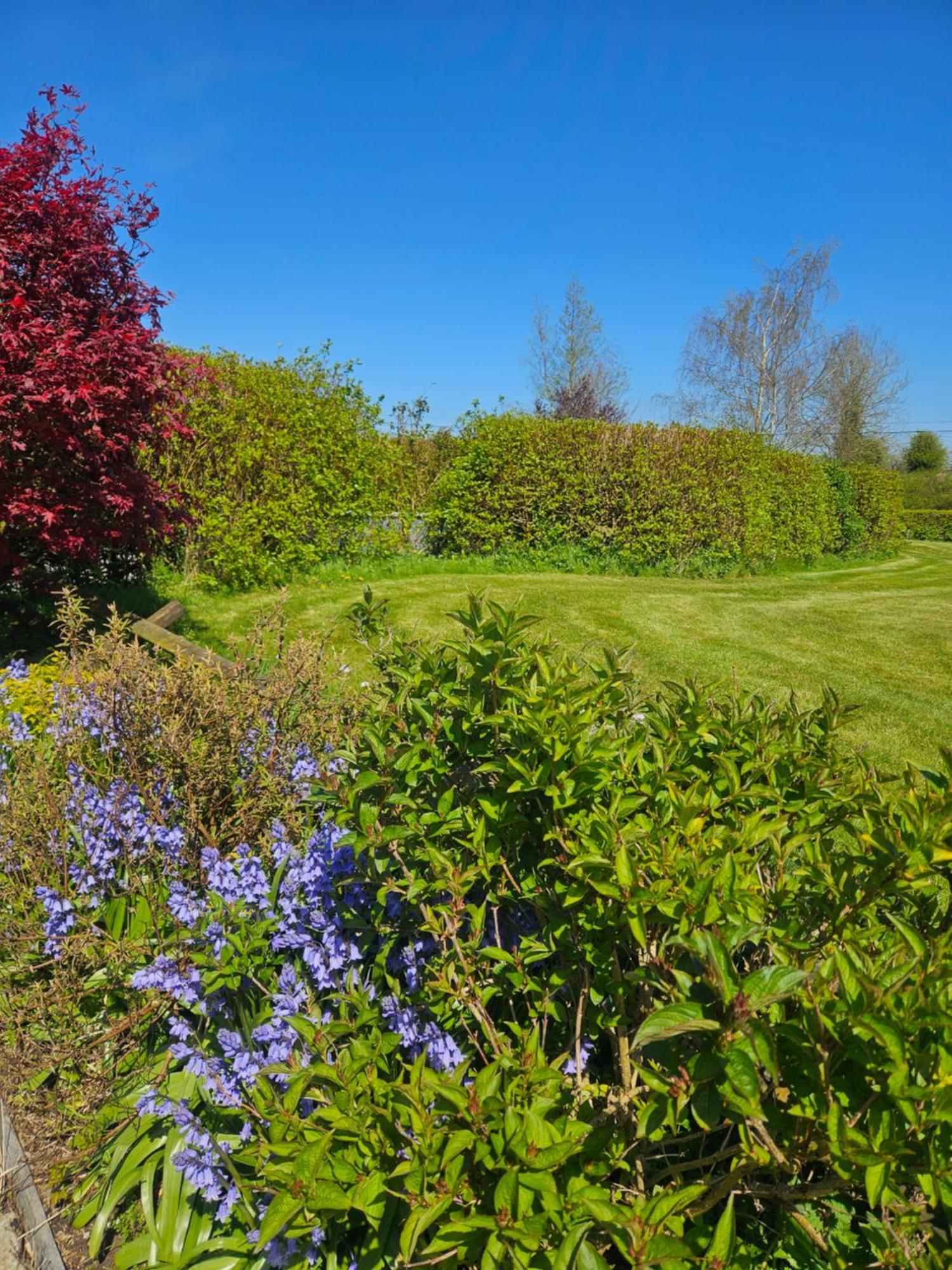 Ard Aoibhinn Roscommon Lecarrow Exteriör bild
